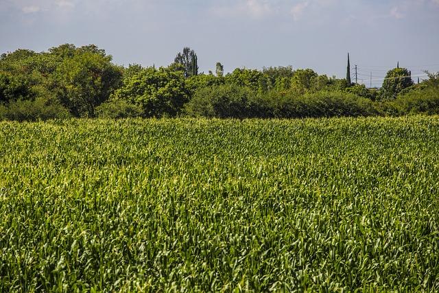 Santiago Travel Guide: Explore the Vibrant Culture, Flavorful Cuisine, and Stunning Landscapes